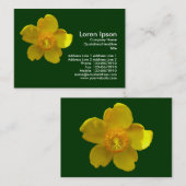 Hypericum Hidcote (sint-janskruid) Donkergroen Visitekaartje (Voorkant / Achterkant)