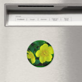 Hypericum Magnet Magneet (Insitu (Vaatwasser))