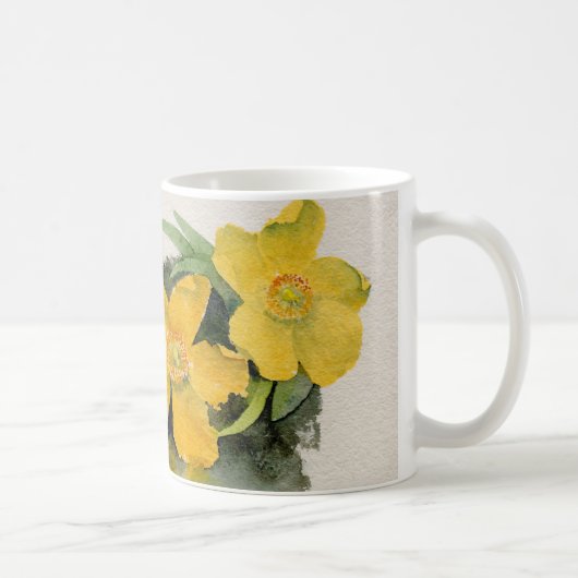 Hypericum Mok (Rechts)