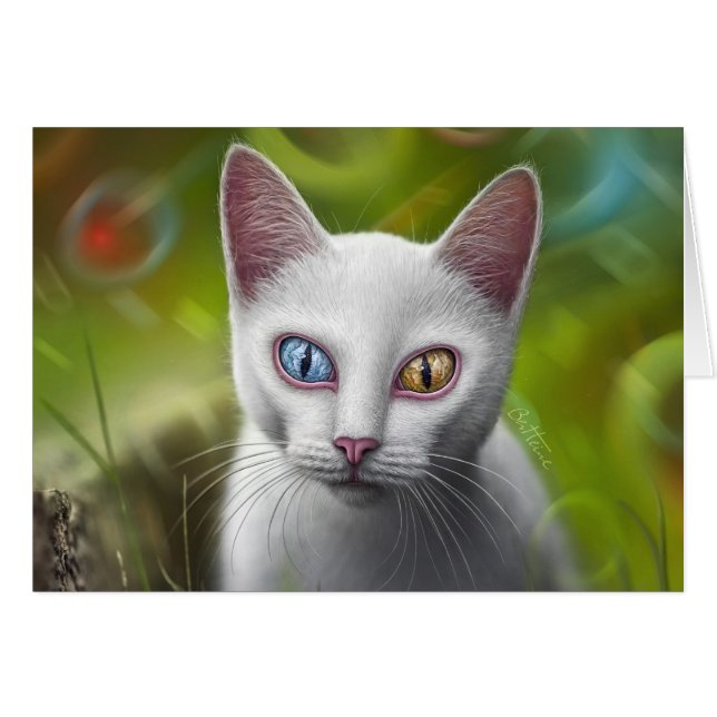 Hypnose - Van Cat (Devant horizontal)