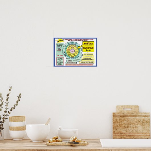 Hypnosis Solution Poster (Cuisine)