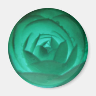 Hypnotic Camellia Flower Magnet Magneet