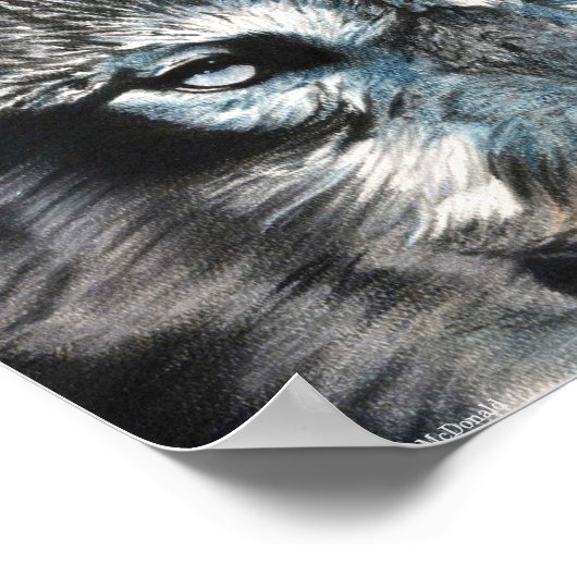 Hypnotic - Wolf Poster (Hoek)