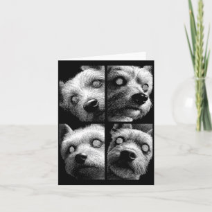 Hypnotische Yorkshire Terrier Ongelijke Ogen Weird Kaart