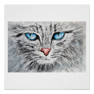Hypnotiserende kat met blauwe ogen portret perfect poster