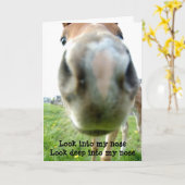 Hypnotiseur de cheval avec carte d'anniversaire pl (Fleur jaune)