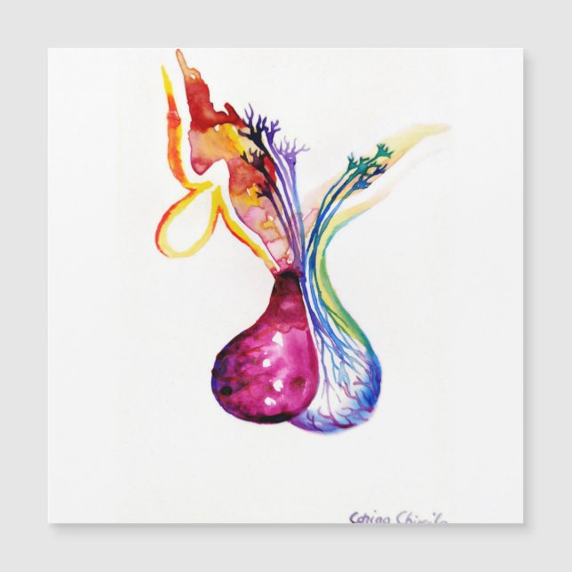 Hypofysestructuur (Voorkant)