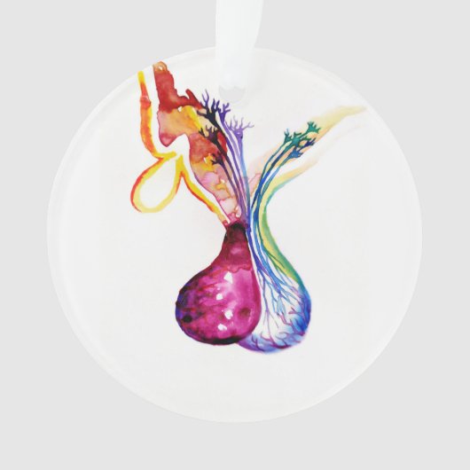Hypofysestructuur Ornament (voorkant)