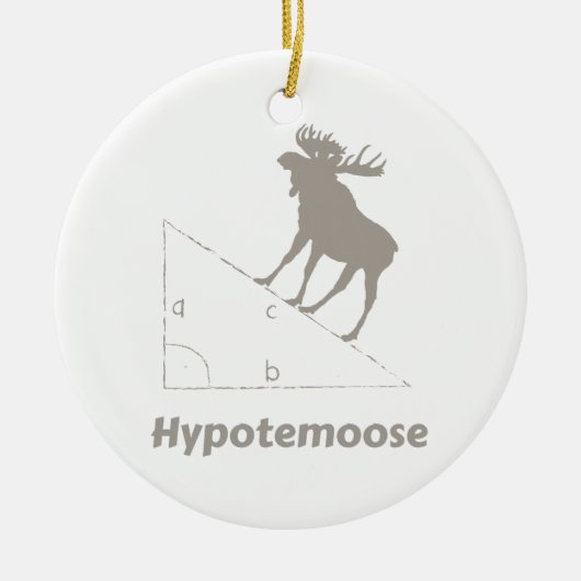 Hypotemoose Wiskunde Geek Keramisch Ornament (Voorkant)