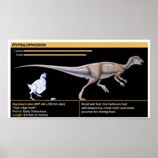 Hypsilophodon - Biologie Jurassic Dinosaur Poster