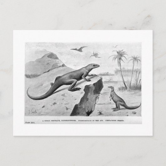 Hypsilophodon briefkaart (Voorkant)