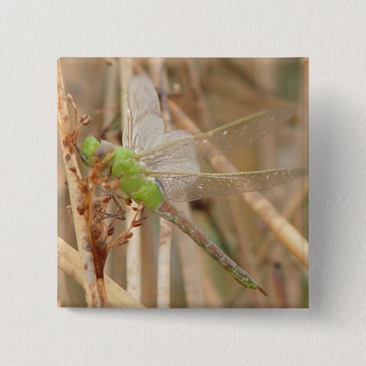 I1 Groene Dragonfly Vierkante Button 5,1 Cm (Voorkant)