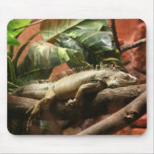 I2 MUISMAT (Voorkant)