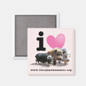 I <3 Varkensmagneet Magneet (Voorkant / Achterkant)