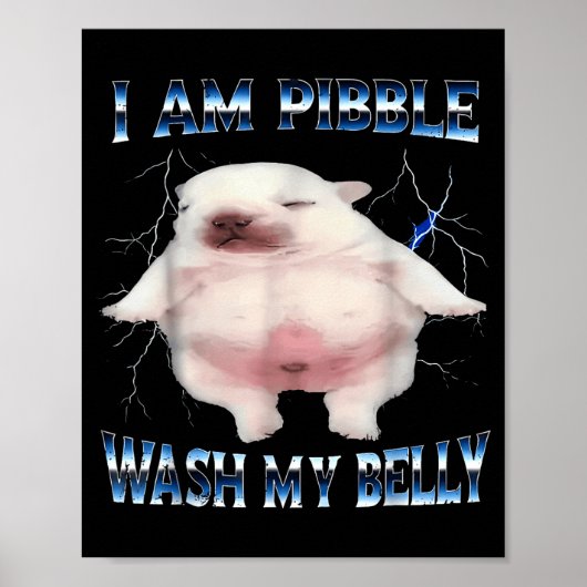 I Am Bble Wash My Belly Bble Meme Funny Dog Brainr Poster (Voorkant)