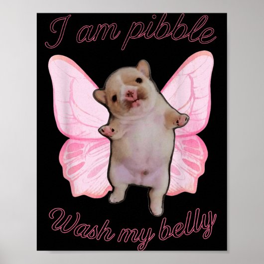 I Am Bble Wash My Belly Bble Meme Funny Dog Brainr Poster (Voorkant)
