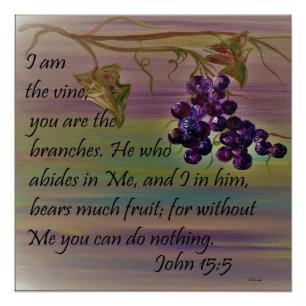 I am the Vine Perfect Poster