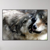 I BITE POSTER (Voorkant)