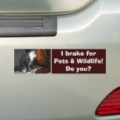 "I BRAKE FOR ANIMAL" Sticker Cat Kitten (En voiture)