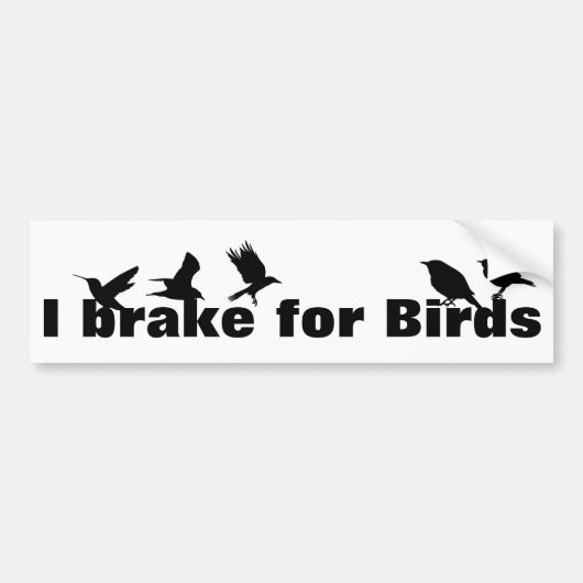 I Brake for Birds, Waterverf voor vogelaars Bumpersticker (Voorkant)