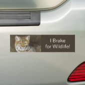 I Brake for Wildlife Bobcat Bumpersticker (Op auto)