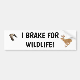 I Brake for Wildlife Bumper Sticker