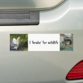 I brake for wildlife Goose Squerrl Bumper Sticker (En voiture)