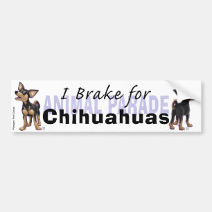 I Brake voor Chihuahuas Bumpersticker