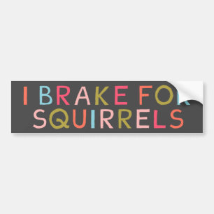 I BREAK FOR SQUIRRELS BUMPERSTICKER
