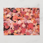 I ❤ CANADA BRIEFKAART (Voorkant)