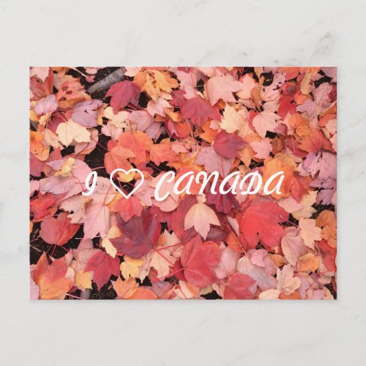I ❤ CANADA BRIEFKAART (Voorkant)