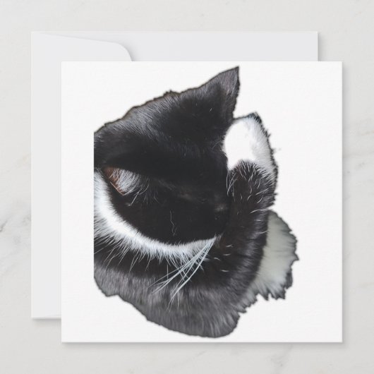 I Can't Even Right Meow (Voorkant)