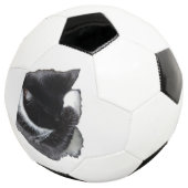 I Can't Even Right Meow (3/4)