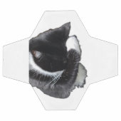 I Can't Even Right Meow (Plat)