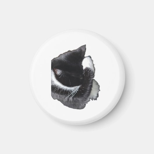 I Can't Even Right Meow Magneet (Voorkant)