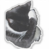 I Can't Even Right Meow Sticker (Voorkant)