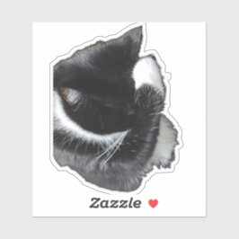 I Can't Even Right Meow Sticker