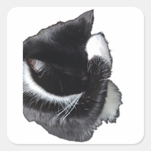 I Can't Even Right Meow Vierkante Sticker (Voorkant)