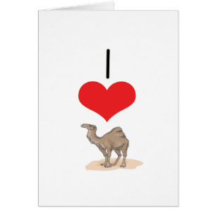 I chameaux de coeur (amour)