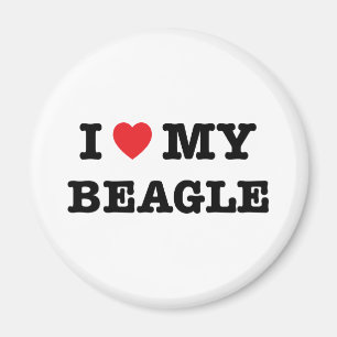I coeur mon aimant de beagle