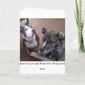 I de KUST mist u!!! Kaart (Achterkant)