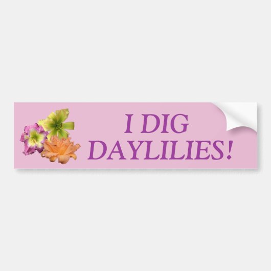 I Dig Daylilies Bumpersticker (Voorkant)