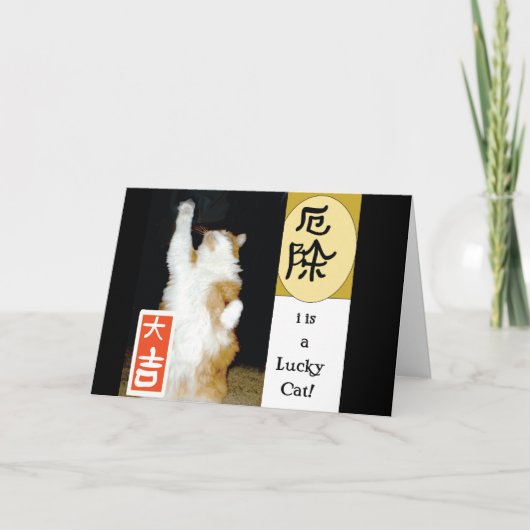 i est un Chat chanceux, Merci (Devant)