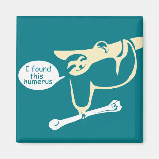 I Found this Humerus Funny Sloth Magneet