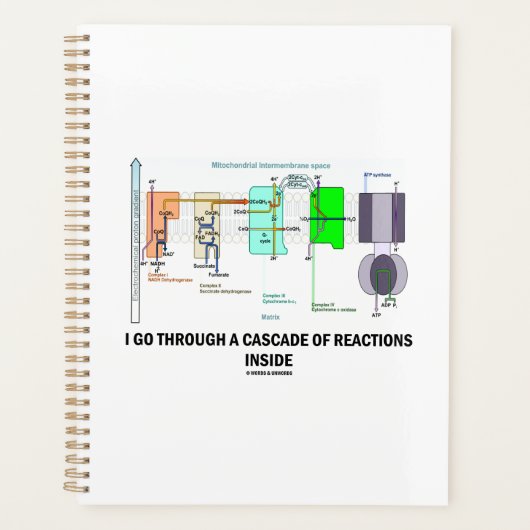 I Go Through (Devant)