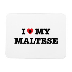 I Hart Mijn Maltees Magneet
