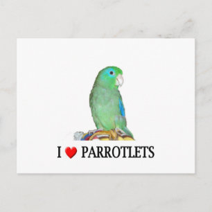 I "hart" parrotlets briefkaart