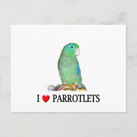 I "hart" parrotlets briefkaart (Voorkant)