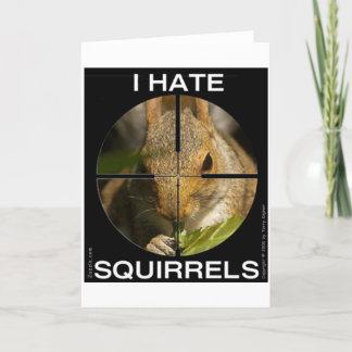 I Hate Squirrels - In the Scope Kaart