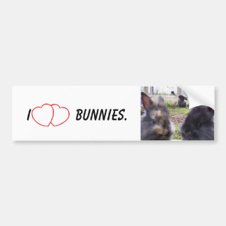 I Heart Bunnies Bumpersticker